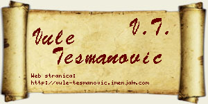 Vule Tešmanović vizit kartica